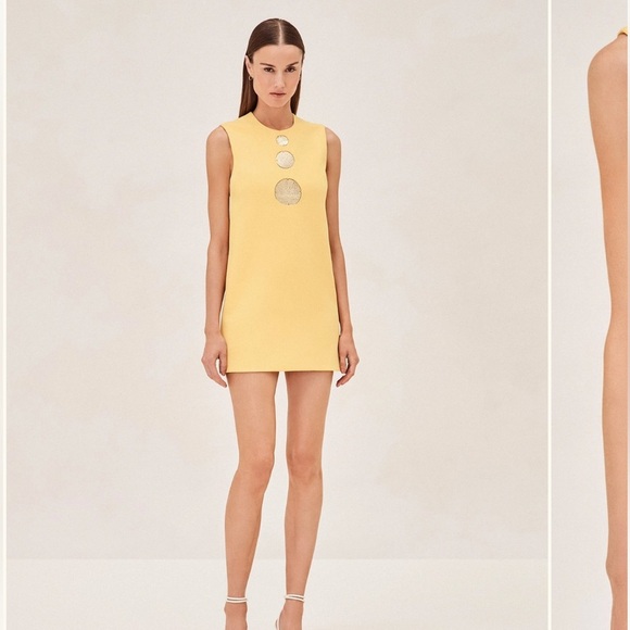 Alexis Dresses & Skirts - Alexis NWT Vango Yellow Mini Dress with Gold Accents